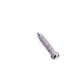 PA2X10 Screws & Fasteners