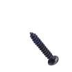 PA3X16 Screws & Fasteners