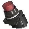 52BL4D2 Industrial Panel Mount Indicators / Switch Indicators