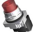 52PL4G2 Panel Mount Indicators - Neon & Incandescent