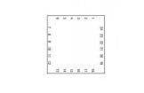SKY72310-11EK2 RF Development Tools