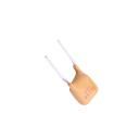 SC250-120 Resettable Fuses - PPTC