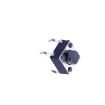 TS-1102-5016 Tactile Switches