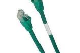 SP10GN Ethernet Cables / Networking Cables