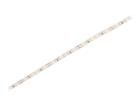 SPE-112-95WW-24  Optoelectronics