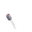SPZ0JM102F11O00RAXXX Aluminium Organic Polymer Capacitors