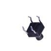 STP-1230G Tactile Switches