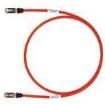 STP6X10RD-Q Ethernet Cables / Networking Cables