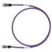 STP6X10VL-Q Ethernet Cables / Networking Cables
