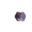 CD54T125NP-100MC Fixed Inductors