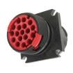 CL1M3100  Connectors