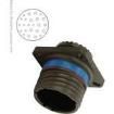 D38999/20JJ24AN Circular MIL Spec Connector