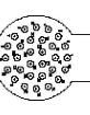 MBG30S2 Standard Circular Connector
