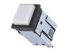 PL103205X Pushbutton Switches