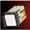 PL226705X Pushbutton Switches