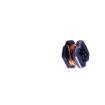 SM3521-3R3MT Fixed Inductors