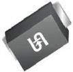 HS1MLW RVG  Semiconductors