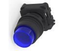 1-2492673-1 Pushbutton Switches