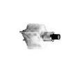 1825097-3 Pushbutton Switches