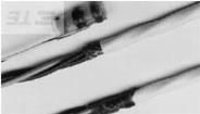 4-1194897-3  Connectors