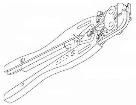 47907-1  Tools & Supplies