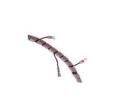 500024-1  Wire & Cable