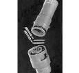 167724-1 Automotive Connectors