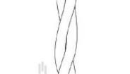 55A0134-26-9/93/96CS2275 Multi-Conductor Cables