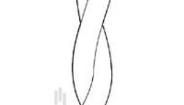 55PC0221-20-2/6CS2502 Multi-Conductor Cables