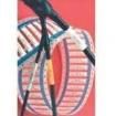 5611390001 Wire Labels & Markers