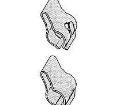 66092-1 Standard Card Edge Connectors