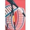 6789530001 Wire Labels & Markers