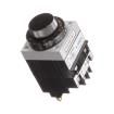 7022PAMT Time Delay & Timing Relays