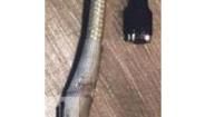 7536494002 Heat Shrink Tubing and Sleeves