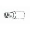 C059503001 electronic component of TE Connectivity