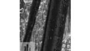 ES2000-NO.3-B8-0-60MM Heat Shrink Tubing and Sleeves