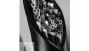NT-1-1/2-0-SP Heat Shrink Tubing and Sleeves