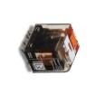PT570506 General Purpose Relays