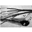 QFT-CRIMP-TOOL-MANUAL  Tools & Supplies