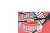 TMS-SCE-1K-1-2.0-4  Wire & Cable
