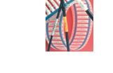 TMS-SCE-1K-1-2.0-4 Wire Labels & Markers