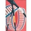 TMS-SCE-1K-2-1/4-2.0-7 Heat Shrink Tubing and Sleeves