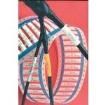 TMS-SCE-3/32-2.0-S3-9 Heat Shrink Tubing and Sleeves