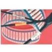 TMS-SCE-3/4-2.0-3  Wire & Cable