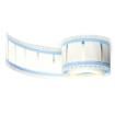 TMS-SCE-1-2.0-2L  Wire & Cable