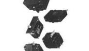 W68-X2Q13-20 Circuit Breakers