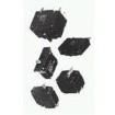 W69-X2Q12-3 Circuit Breakers