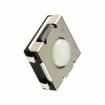 1571611-2 Pushbutton Switches