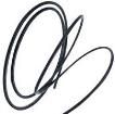EG8796-000 Hook-up Wire