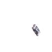 nSMD100-16V Resettable Fuses - PPTC